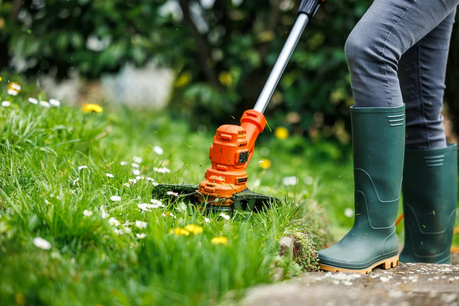 Affordable Lawn Care Services Nipomo, CA Affordable Lawn Care Services Nipomo, CA
