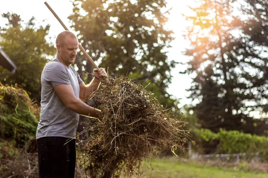 How Seasonal Yard Cleanup Enhances Landscape Health in Nipomo, CA How Seasonal Yard Cleanup Enhances Landscape Health in Nipomo, CA