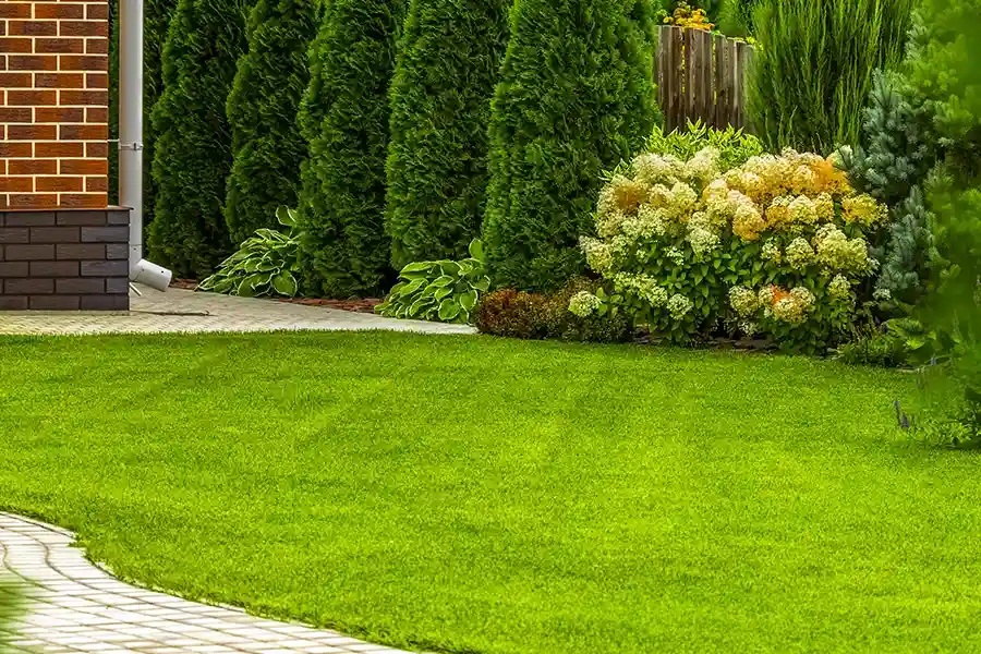 Superior Lawn Care Services Nipomo, CA Superior Lawn Care Services Nipomo, CA