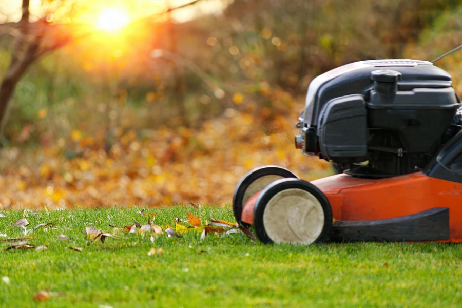 The Benefits Of Professional Lawn Fertilization Services in Nipomo, CA The Benefits Of Professional Lawn Fertilization Services in Nipomo, CA