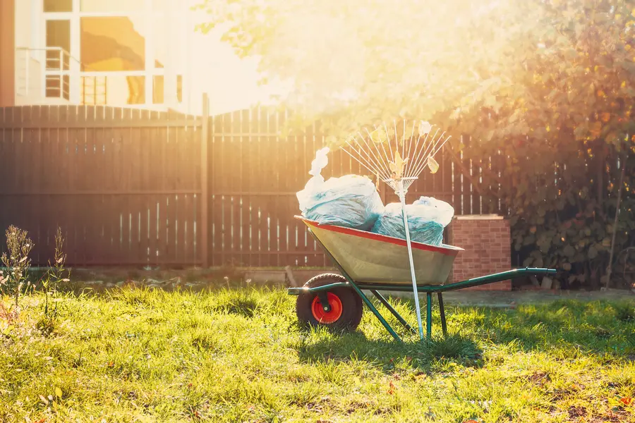 The Role Of Yard Cleanup In Preventing Pest Infestations in Nipomo, CA The Role Of Yard Cleanup In Preventing Pest Infestations in Nipomo, CA